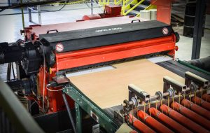 A WLH Tiger is about to shred wood