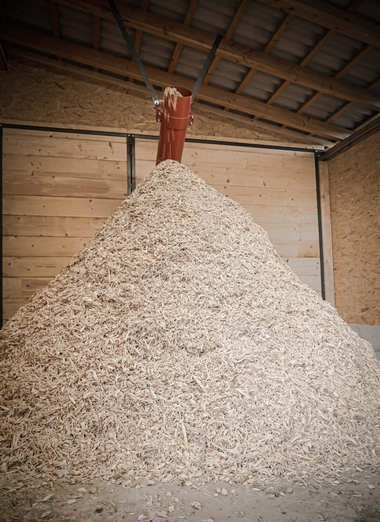 Chip bunker with screw conveyor and wood chip pile