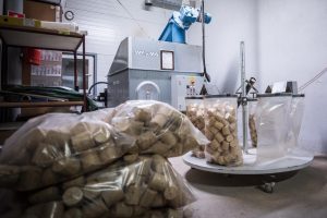 Briquetting of grinding dusts