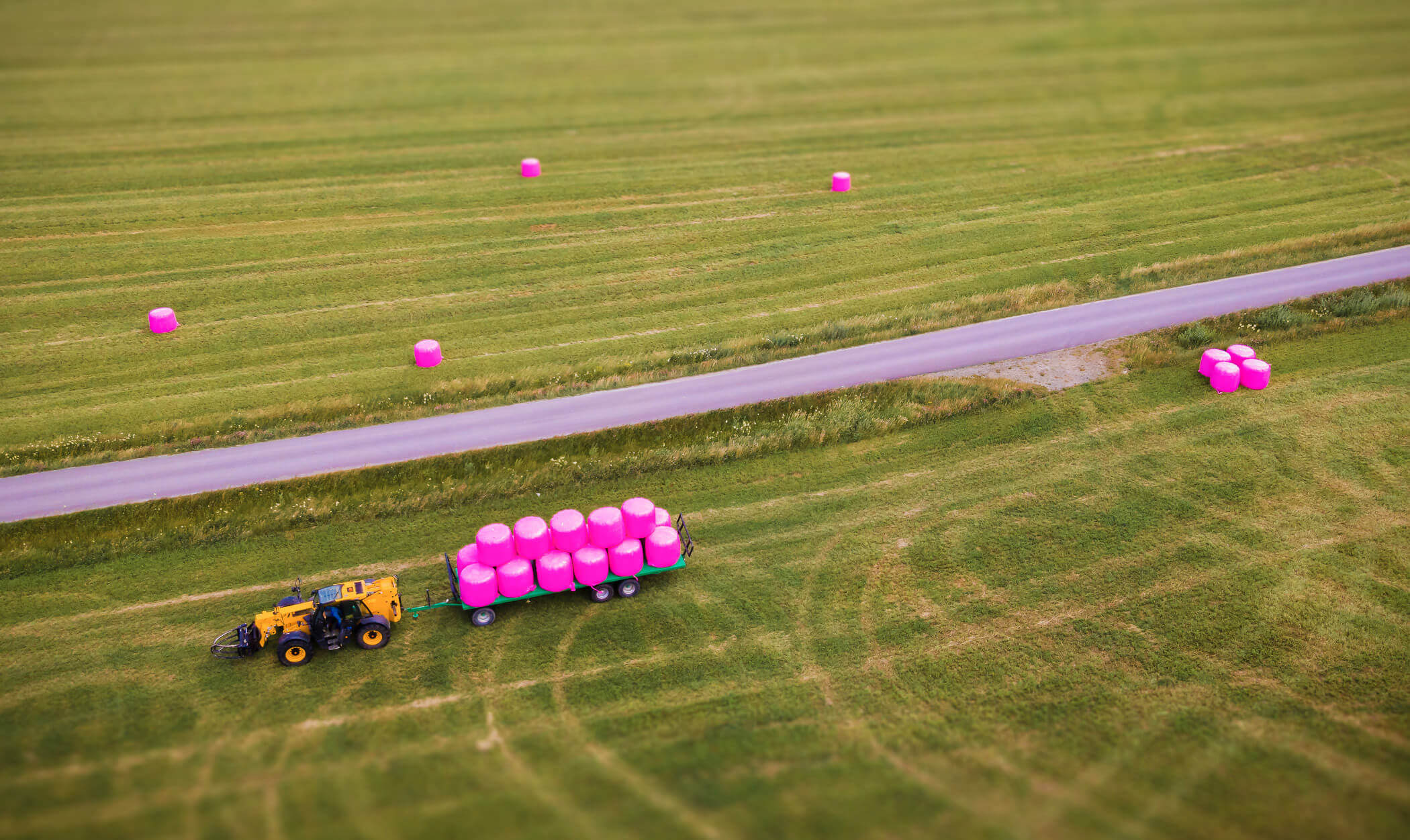 Pinke Silagefolienballen Heu