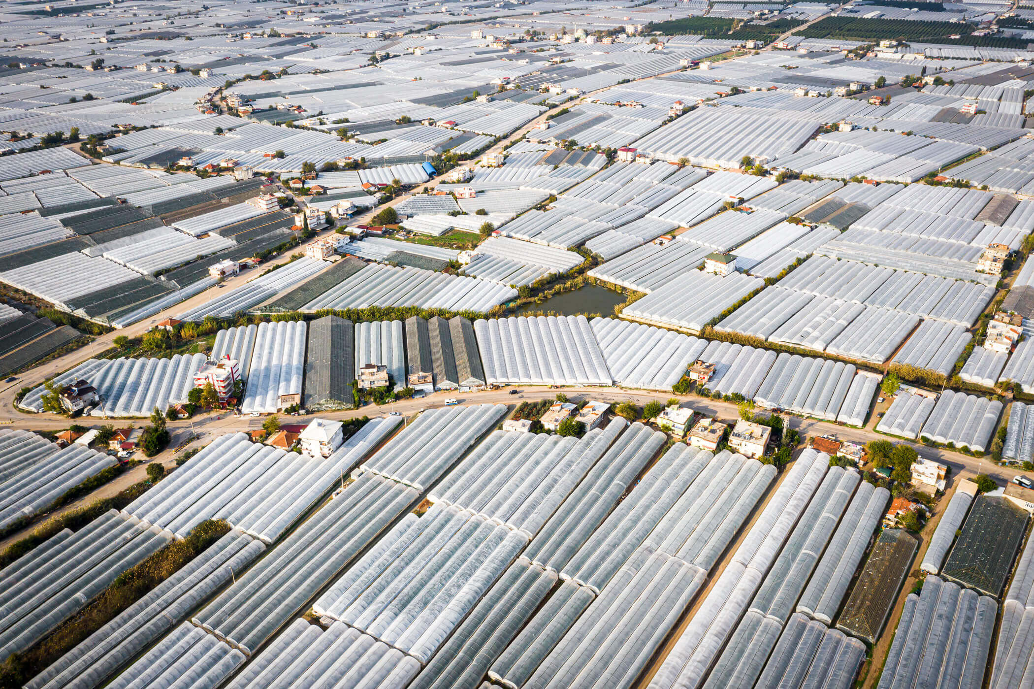 Treibhaus Folie Stadt