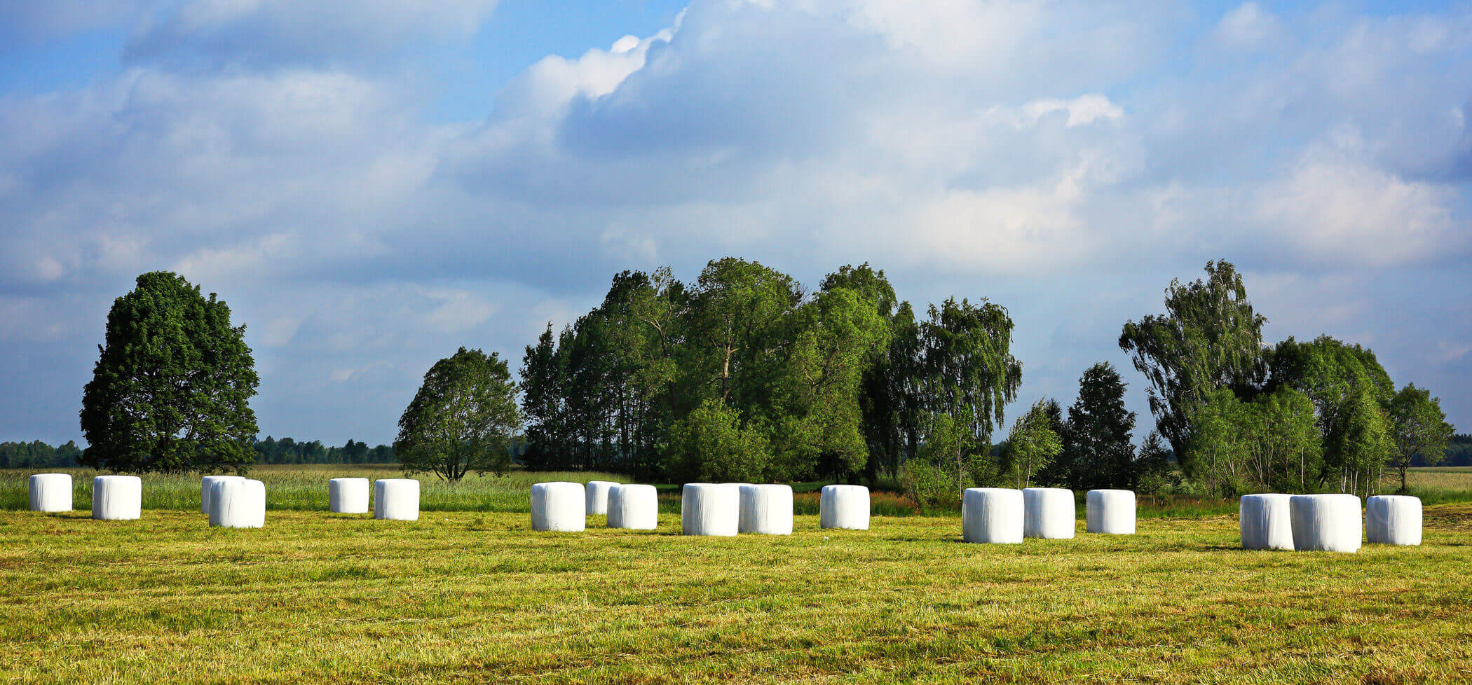 Heuballen In Silofolie Silagefolie