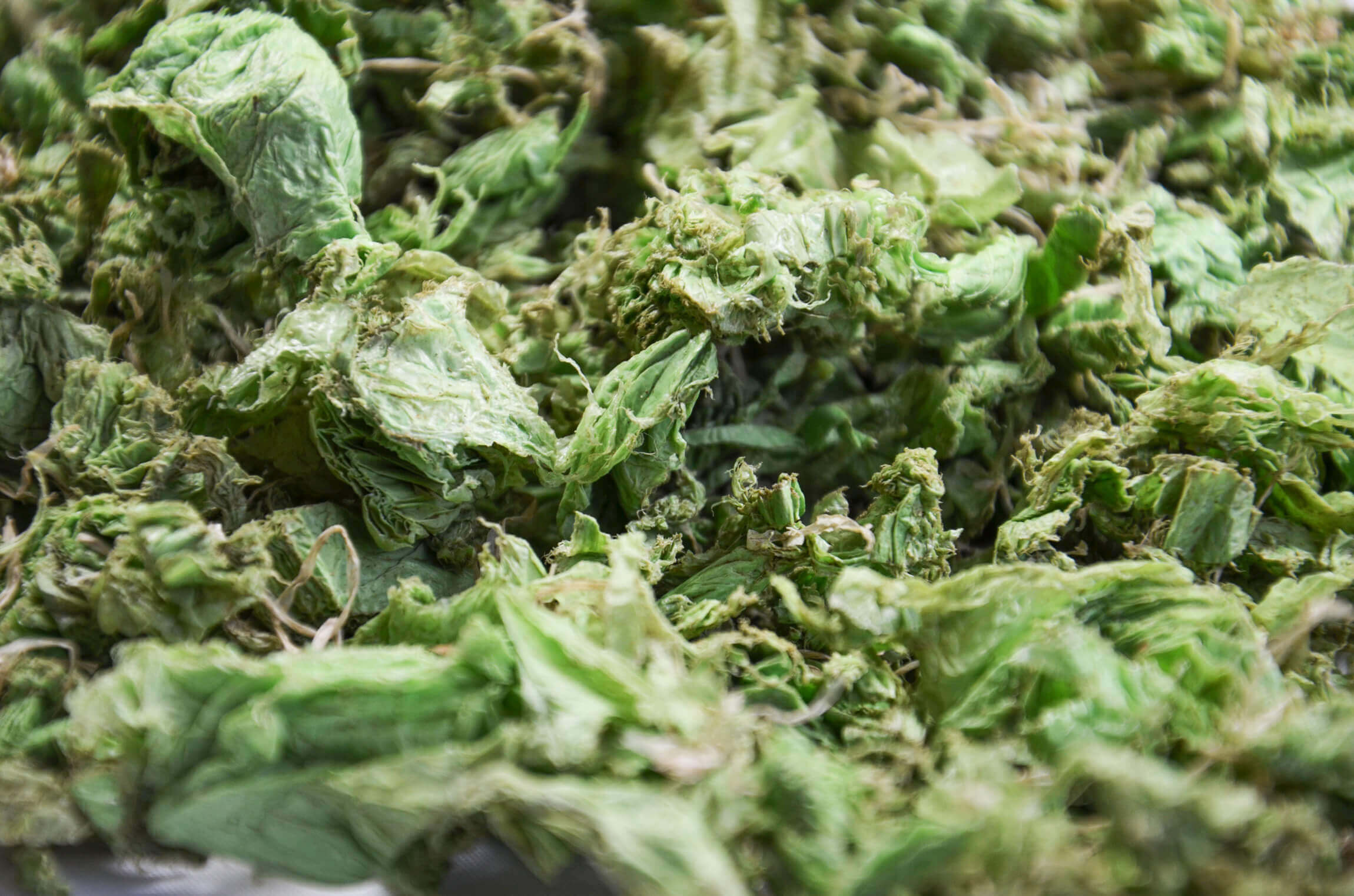 zerkleinerte Folie aus der Landwirtschaft als Nahaufnahme