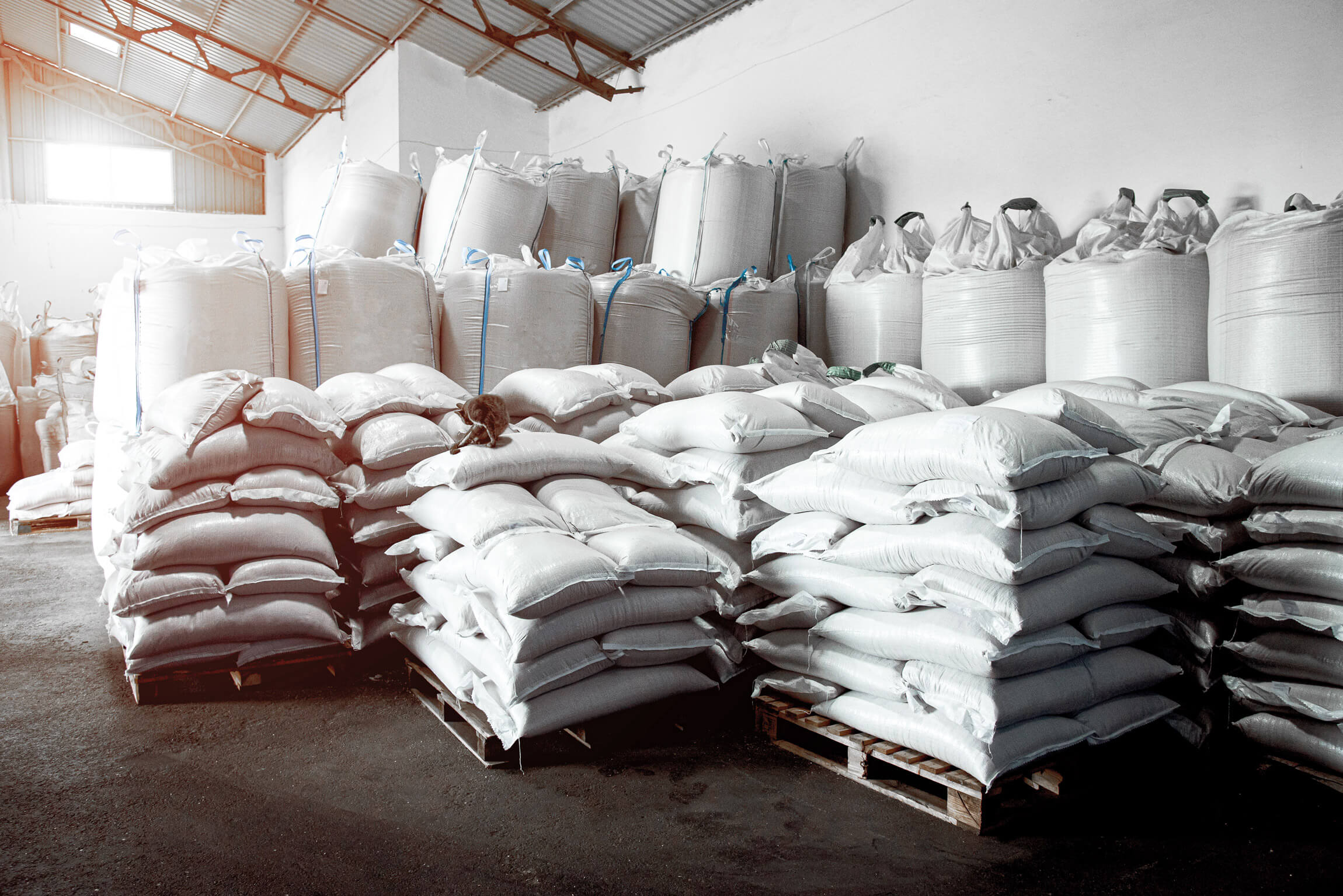 warehouse with bulk bags and woven bags