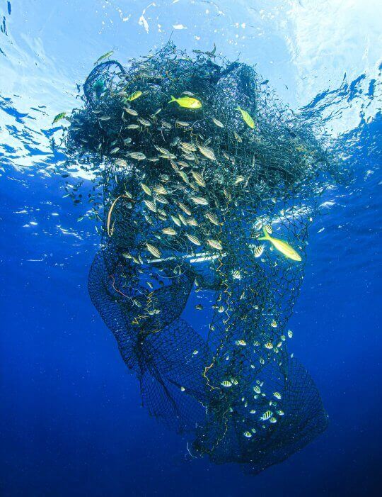 Fish net, fishing nets and ropes shredder for recycling