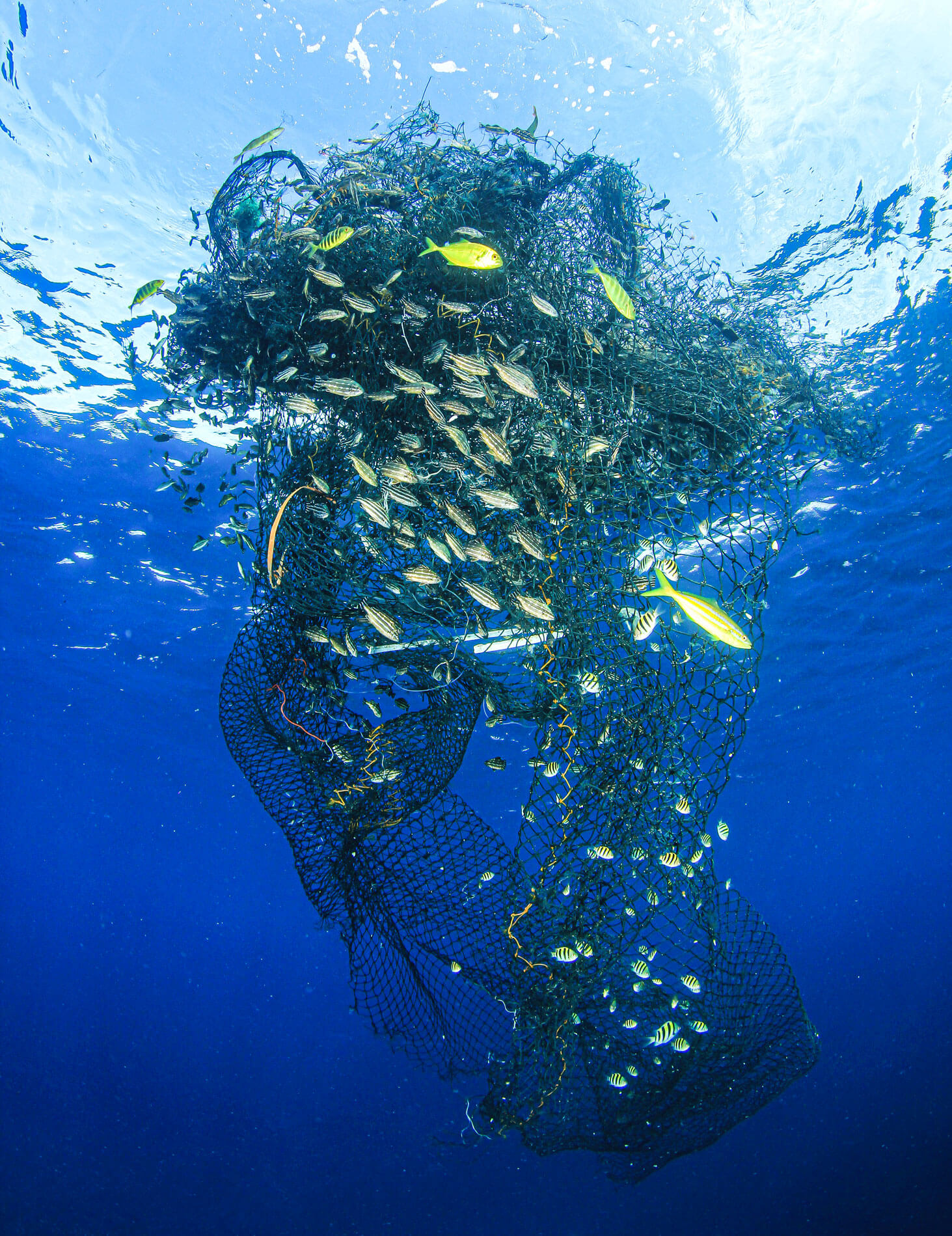 fishing nets floating in ocean