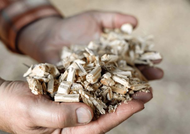 Shredded waste wood in palms of hands