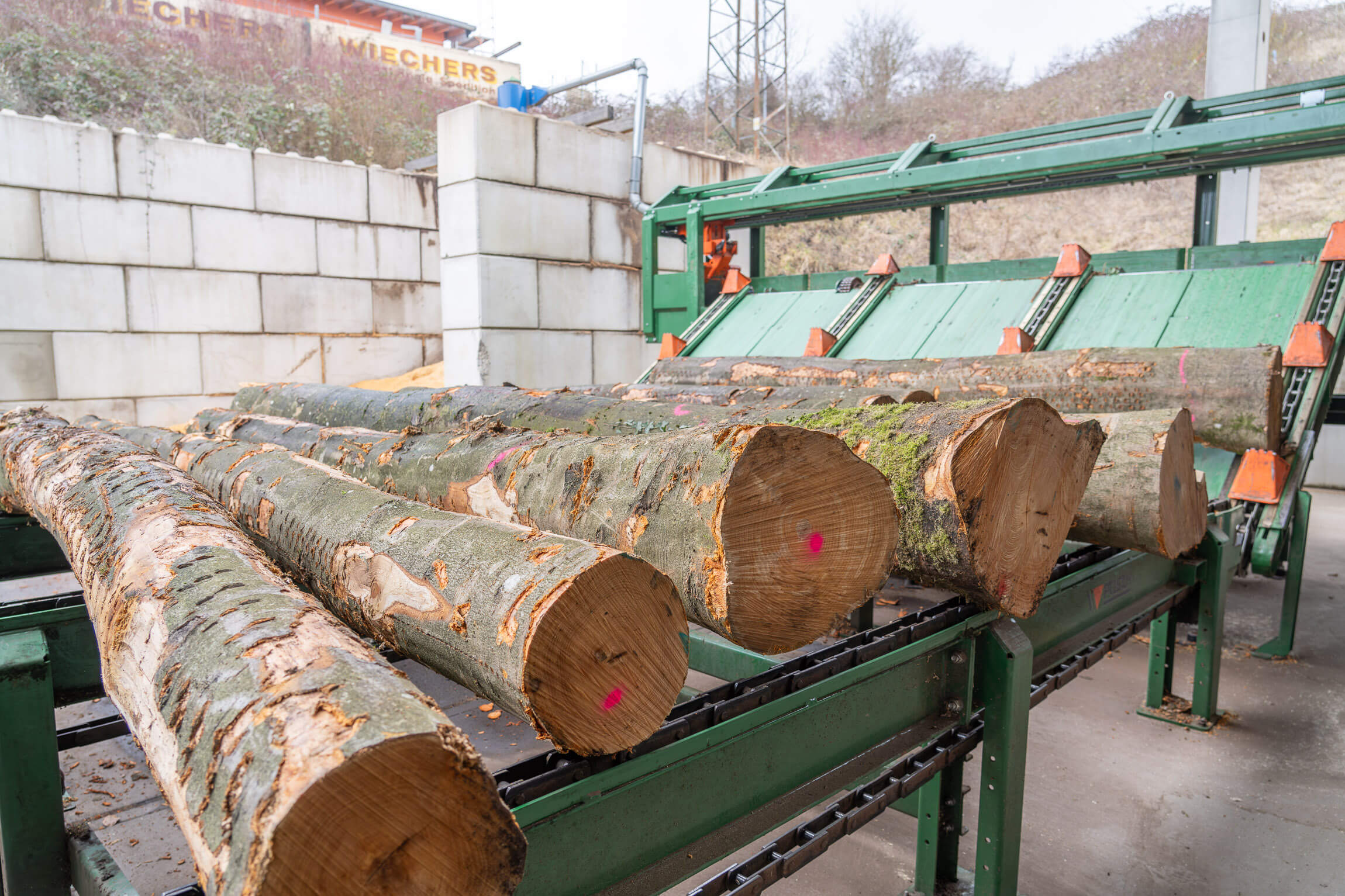 Großer Stapel liegende Holzstämme auf einer grünen Holzablage