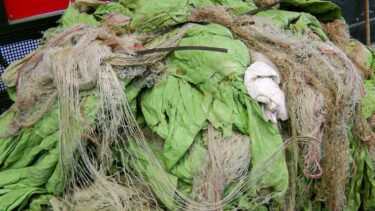 Verschmutzte Landwirtschaftsfolie, Erntegarn und Rundballennetze