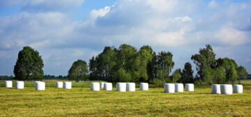 Heuballen In Silofolie Silagefolie