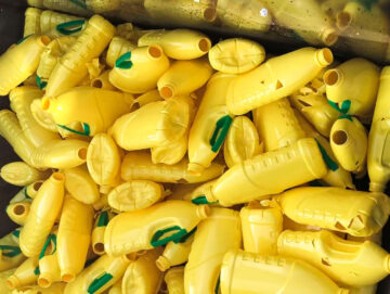 Plastik Flaschen Rigid Packaging