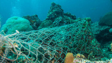 ghost nets on ocean sea ground