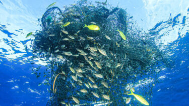 fishing nets floating in ocean