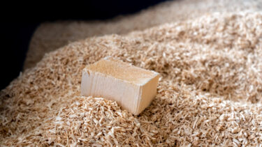 A piece of wood on a pile of wood chips
