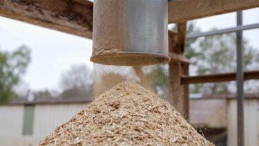 Ein Metallschacht wirft zerkleinertes Holzschnitzel und Staub auf einen Haufen im Freien.