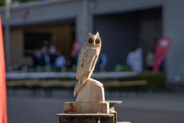 Eine Eule aus einem Holzblock