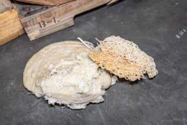 Two lumps of plastic with a thread-like structure lie on the floor of an industrial hall.